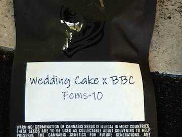 Sell: Square One - Wedding Cake x BBC (Banana Butter Cups)