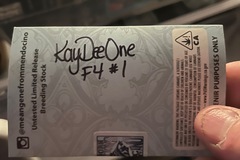 Sell: Freeborn Selections-KaydeeOne F4