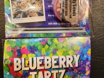 Sell: Blueberry Tartz by Sin City