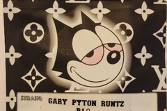 Sell: Gary Payton Runtz R1 Copycat Genetix ORIGINAL FEMS