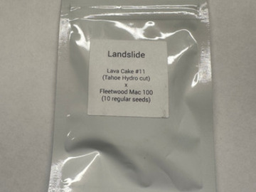 Auction: Lit Farms - Landslide (Lava Cake #11 x Fleetwood Mac 100) AUCTION