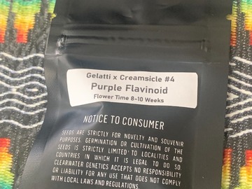 Sell: Clearwater Genetics Purple Flavinoid