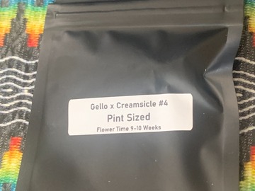 Sell: Clearwater Genetics Pint Sized