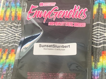 Sell: Envy Genetics Sunset Slurrbert
