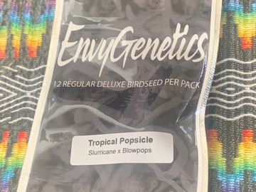 Sell: Envy Genetics Tropical Popsicle