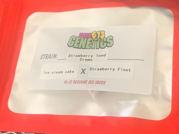 Sell: Elite 613 Genetics Strawberry Iced Cream