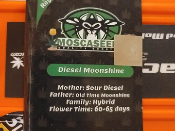 Sell: Mosca - Diesel Moonshine