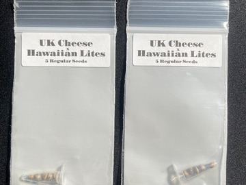 Sell: UK Cheese x Hawaiian Lites - CSI Humboldt (10 Regular Seeds)