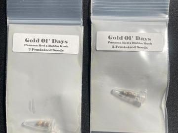 Sell: Gold Ol Days - CSI Humboldt (6 Female Seeds)