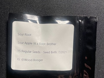 Sell: Sour Apple IX x Root Brother (15 Regular Seeds)