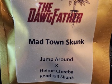 Sell: The DawgFather MadTown Skunk