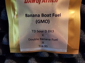 Venta: The DawgFather Banana Boat Fuel