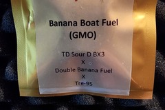 Vente: The DawgFather Banana Boat Fuel