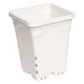 Vente: 7 inch x 7 inch Square White Pot, 9 inch Tall, 50 per case