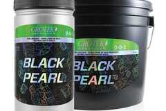 Sell: Grotek - Black Pearl - 0-0-2