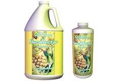 Venta: FloraNectar - Pineapple Rush 0-0-1