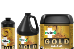 Sell: Nutri Plus Gold (0-0-0.45)