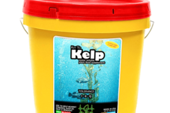 Venta: Key To Life - Key to Kelp 1-0-13