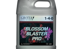 Sell: Grotek - Blossom Blaster Pro Liquid - 1-4-0