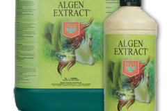 Vente: House & Garden - Algen Extract
