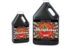 Vente: Nature's Nectar Phosphorus 0-4-0