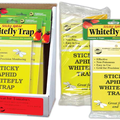 Vente: Sticky Whitefly Traps