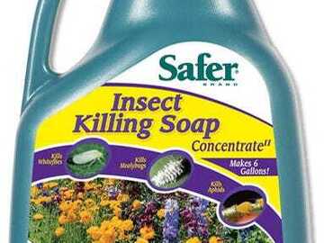 Safer Insect Killing Soap II Concentrate - 16 oz