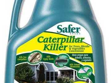 Safer Caterpillar Killer Conc. for Tree, Shrub and Veg - 16 oz