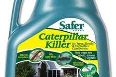 Sell: Safer Caterpillar Killer Conc. for Tree, Shrub and Veg - 16 oz