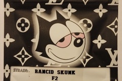 Sell: Rancid Skunk F2 Copycat Genetix ORIGINAL REGS
