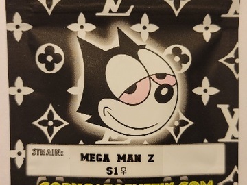 Venta: Mega Man Z S1 Copycat Genetix Clone Only FEMS