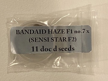 Venta: Doc D - Bandaid Haze F1 no.7 x (Sensi Star F2)
