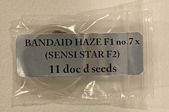 Sell: Doc D - Bandaid Haze F1 no.7 x (Sensi Star F2)