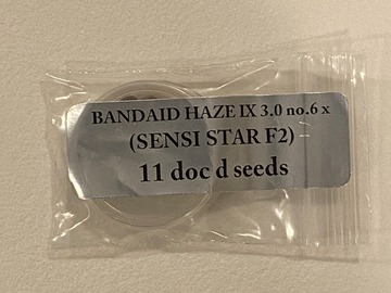 Sell: Doc D - Bandaid Haze IX 3.0 no.6 x (Sensi Star F2)