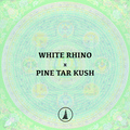 Sell: White Rhino x Pine Tar Kush - Pure Pakistani