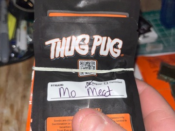 Sell: Thug Pug-Mo meat