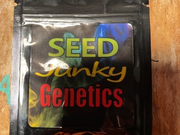 Sell: Seed junky genetics-kush mints f2