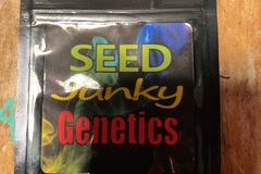 Sell: Seed junky genetics-kush mints f2