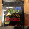 Venta: Seed junky genetics-kush mints f2