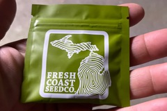 Venta: Fresh coast seed co.- gorilla butter