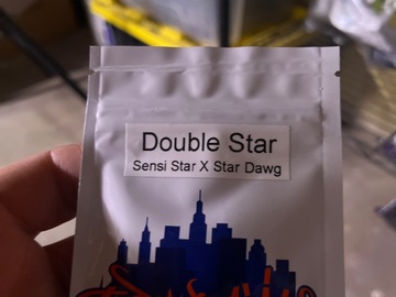 Sell: Top dawg seeds-Double star