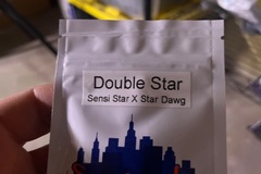 Sell: Top dawg seeds-Double star