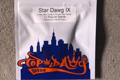 Sell: Top Dawg Seeds-star dawg IX