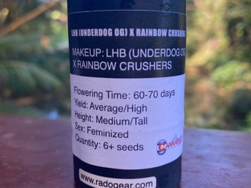 Sell: LHB (Underdog OG) x Rainbow Crushers from Cannarado