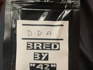 Vente: Bred by 42 DDA