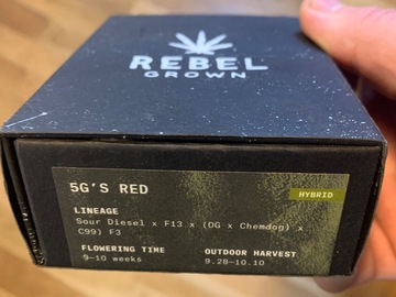 Sell: 5 g's red