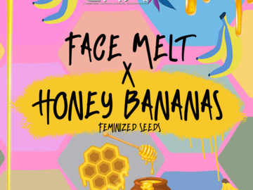 Venta: Face Melt x Honey Bananas (Fem)