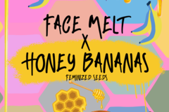 Venta: Face Melt x Honey Bananas (Fem)