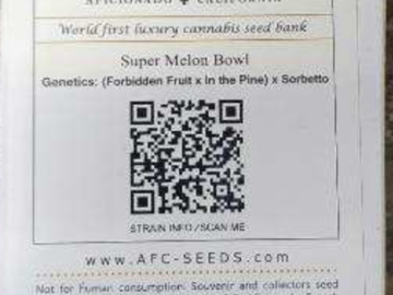 Sell: Aficionado French Connection-Super Melon Bowl