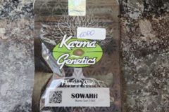 Vente: Karma Genetics-Sowahh
